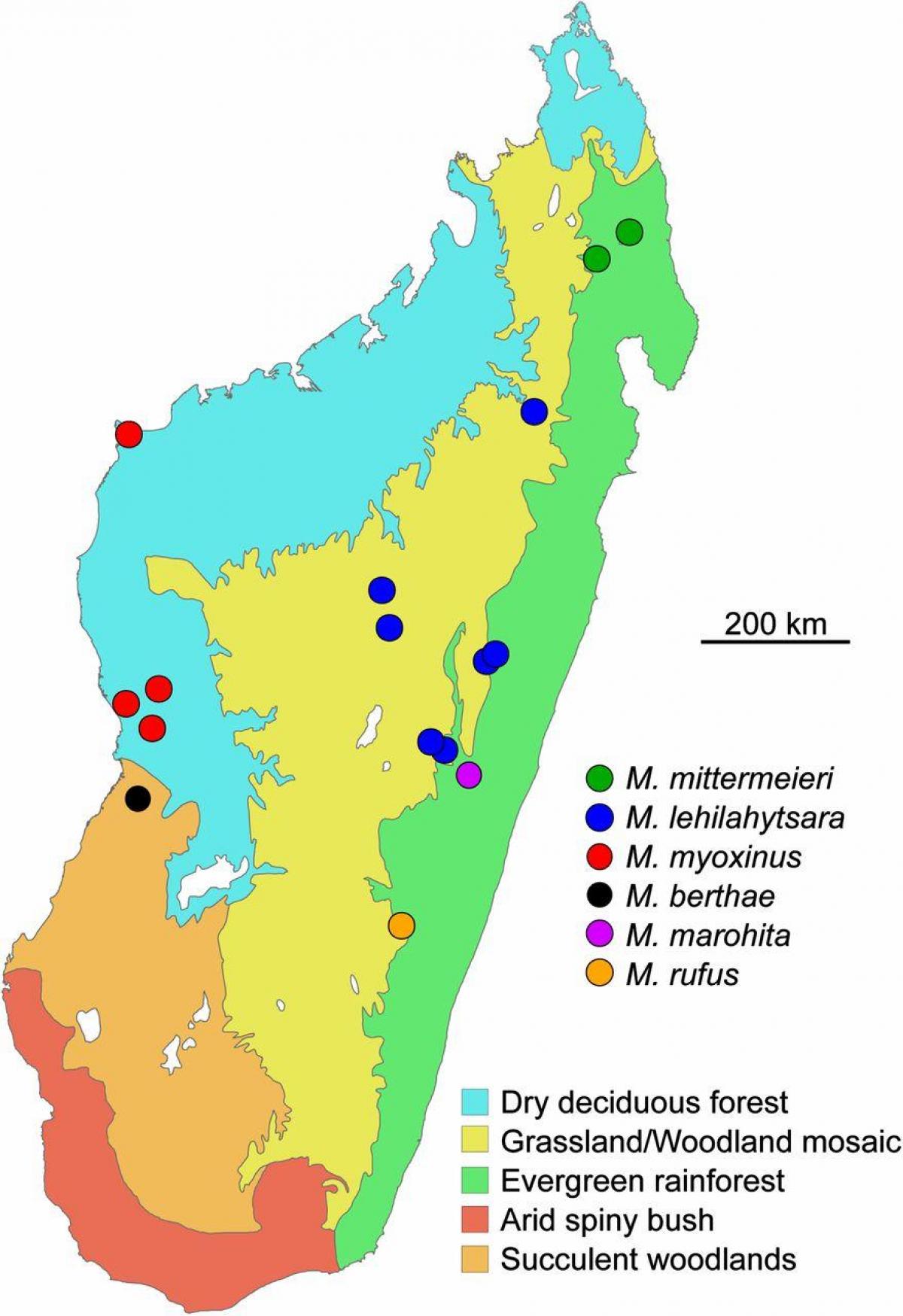 zemljevid Madagaskar deževnega gozda