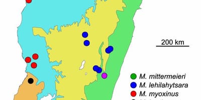 Zemljevid Madagaskar deževnega gozda