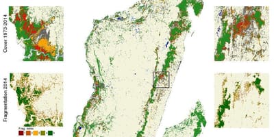 Zemljevid Madagaskar krčenje gozdov